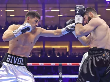 bivol 2025